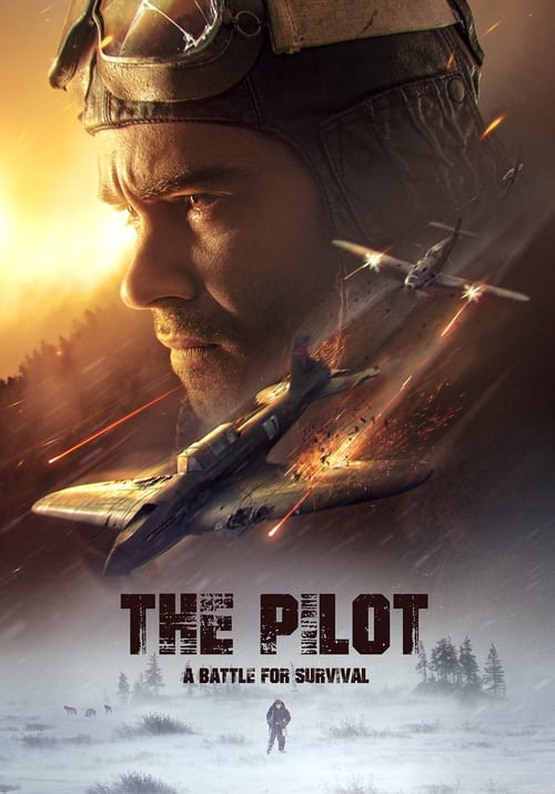 دانلود فیلم The Pilot. A Battle for Survival