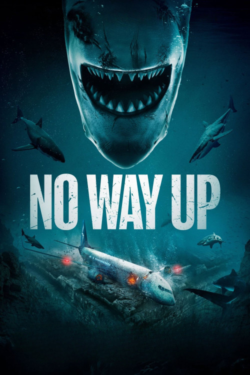 دانلود فیلم No Way Up هیچ راهی بالا نیست